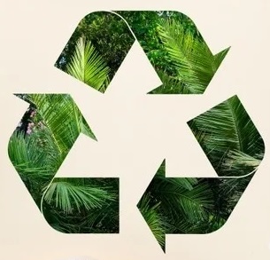Eierdozen Insights for a Sustainable Packaging Future